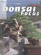 Bonsai focus No.136 - 1/4