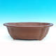 Bonsai bowl 59 x 43 x 19 cm - 1/7