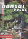 Bonsai focus No.141 - 1/4