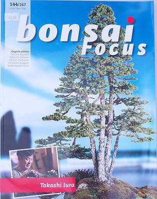 Bonsai focus - English no.144 - 1