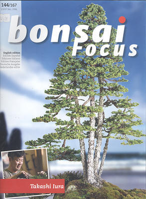 Bonsai focus No.144 - 1