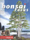 Bonsai focus No.144 - 1/4