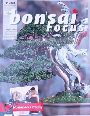 Bonsai focus - English no.145 - 1