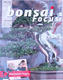 Bonsai focus - English no.145 - 1/6