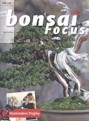 Bonsai focus No.145 - 1
