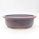 Ceramic bonsai bowl 24.5 x 20 x 8 cm, brown color - 1/3