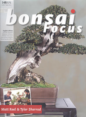 Bonsai focus No.148 - 1