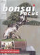 Bonsai focus No.148 - 1/4