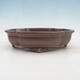 Bonsai bowl 31 x 26 x 8 cm, natural color - 1/7
