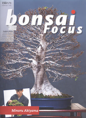 Bonsai focus No.150 - 1