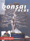 Bonsai focus No.150 - 1/4