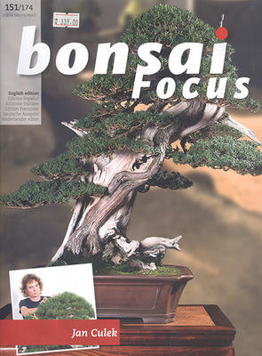 Bonsai focus No.151 - 1