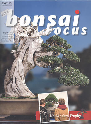 Bonsai focus No.152 - 1