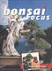 Bonsai focus No.152 - 1/4
