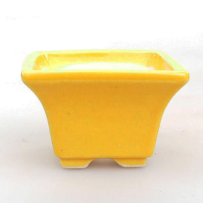 Mini bonsai bowl 6 x 6 x 4 cm, yellow color - 1