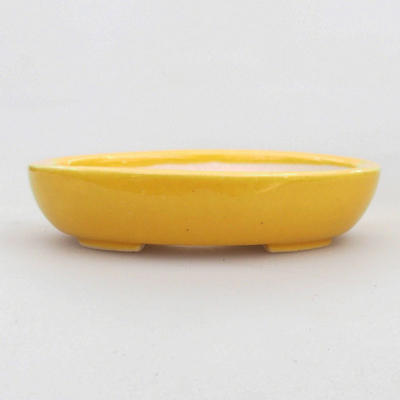 Mini bonsai bowl 8 x 6 x 2 cm, yellow color - 1