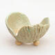 Ceramic shell 8.5 x 7.5 x 6 cm, color green - 1/3