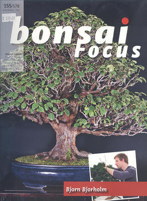 Bonsai focus No.155 - 1
