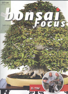 Bonsai focus No.157 - 1