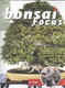 Bonsai focus No.157 - 1/4
