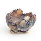 Ceramic Shell 8 x 7 x 6 cm, gray-violet color - 1/3