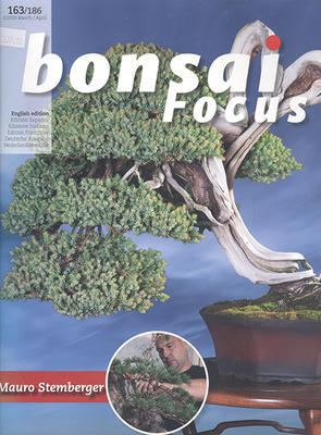 Bonsai focus No.163 - 1