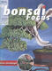 Bonsai focus No.163 - 1/4