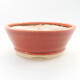 Ceramic bonsai bowl 10 x 10 x 4 cm, brick color - 1/3