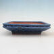 Bonsai bowl 22 x 17 x 5.5 cm, color blue - 1/6