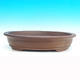 Bonsai bowl 50 x 40 x 10 cm - 1/7
