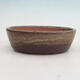 Bonsai bowl 20.5 x 17 x 6 cm, color burgundy - 1/6