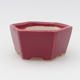 Mini bonsai bowl 5,5 x 5 x 2 cm, burgundy color - 1/3