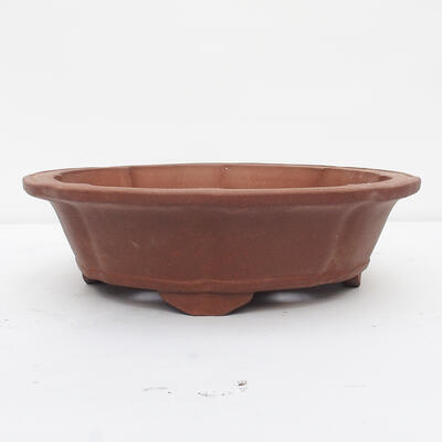 Bonsai bowl 36 x 36 x 10 cm - Japanese quality - 1