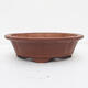 Bonsai bowl 36 x 36 x 10 cm - Japanese quality - 1/7