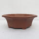 Bonsai bowl 36 x 34 x 12 cm - Japanese quality - 1/7