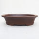 Bonsai bowl 40 x 33 x 10 cm - Japanese quality - 1/7