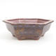 Ceramic bonsai bowl 24 x 21,5 x 8 cm, brown color - 1/4