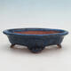 Bonsai bowl 18.5 x 15 x 5 cm, color blue - 1/6