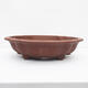 Bonsai bowl 55 x 47 x 14 cm - Japanese quality - 1/7