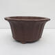 Bonsai bowl 37 x 37 x 18 cm - Japanese quality - 1/7