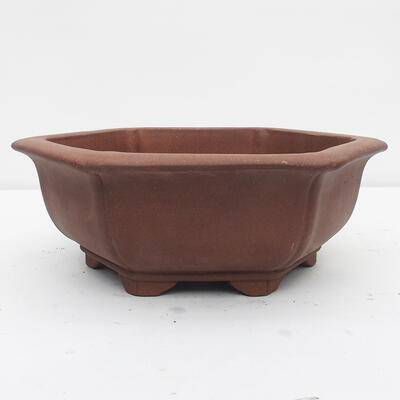 Bonsai bowl 34 x 31 x 12 cm - Japanese quality - 1