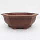 Bonsai bowl 34 x 31 x 12 cm - Japanese quality - 1/7