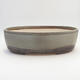 Bonsai bowl 36 x 27.5 x 10 cm, gray-beige color - 1/3