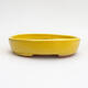Ceramic bonsai bowl 11.5 x 9 x 2.5 cm, yellow color - 1/3