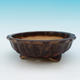 Bonsai ceramic bowl CEJ 26, beige - 1/3