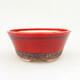 Ceramic bonsai bowl 14 x 14 x 6 cm, color red - 1/3