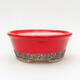 Ceramic bonsai bowl 12.5 x 12.5 x 5 cm, color red - 1/3