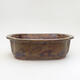 Ceramic bonsai bowl 23.5 x 19.5 x 7.5 cm, brown color - 1/3