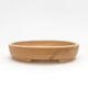 Ceramic bonsai bowl 11.5 x 9 x 2.5 cm, brown color - 1/3