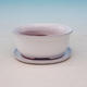 Bonsai bowl tray H 30 - bowl 12 x 10 x 5 cm, tray 12 x 10 x 1 cm, white - bowl 12 x 10 x 5 cm, tray 12 x 10 x 1 cm - 1/3